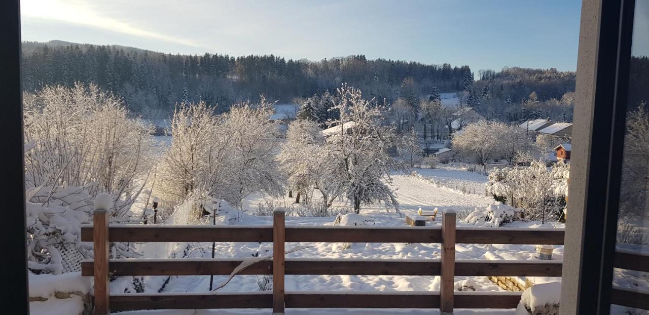 Le Jura En Toutes Saisons Piscine, Spa, Location Vtt, Balades 2Cv, Climatisation Bonlieu Bagian luar foto