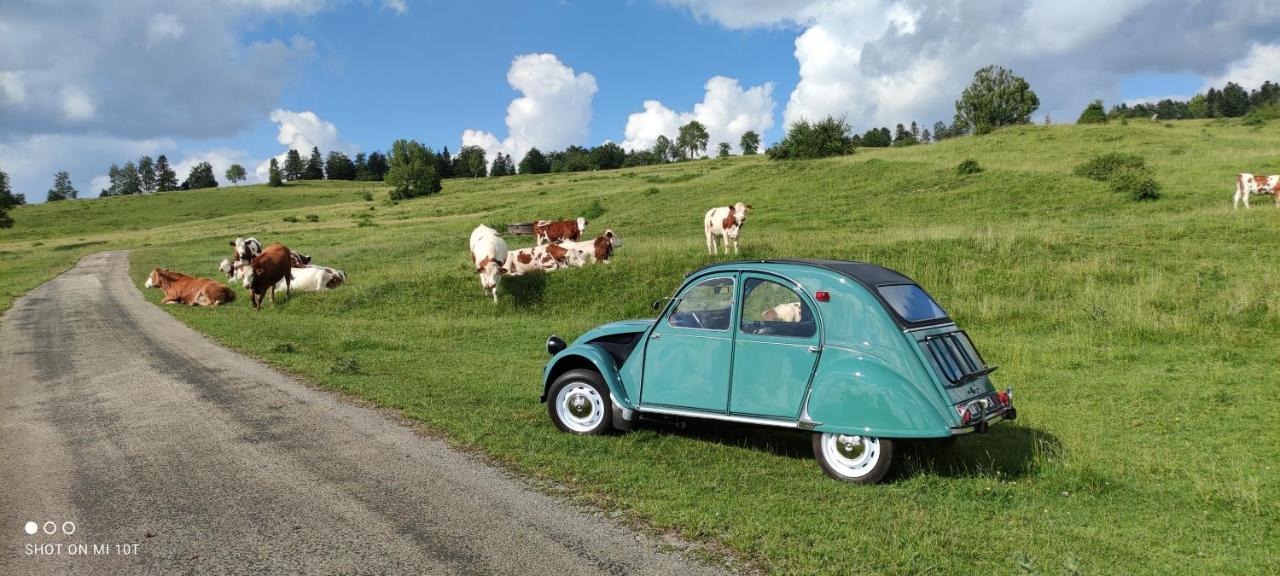 Le Jura En Toutes Saisons Piscine, Spa, Location Vtt, Balades 2Cv, Climatisation Bonlieu Bagian luar foto